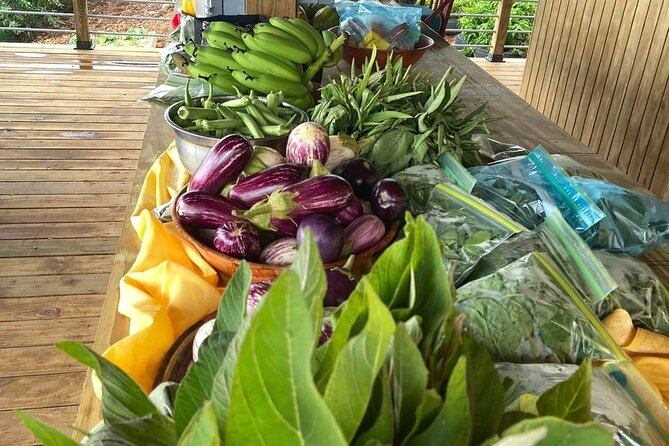 Island Eco Farm Tour with Local Treats and Sapphire Beach Time - Rain, Sun, and Real Island Weather That Can Change Fast