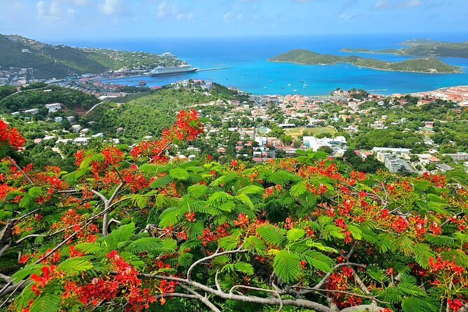 Island Life Jeep Tours - Your Day Your Way Private Excursion! - Private Jeep Basics: What You Really Get for $575 Per Group