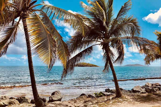 Island Life Jeep Tours - Your Day Your Way Private Excursion! - Getting Around St Thomas: Mountain Roads, Weather, and Motion Sickness Reality