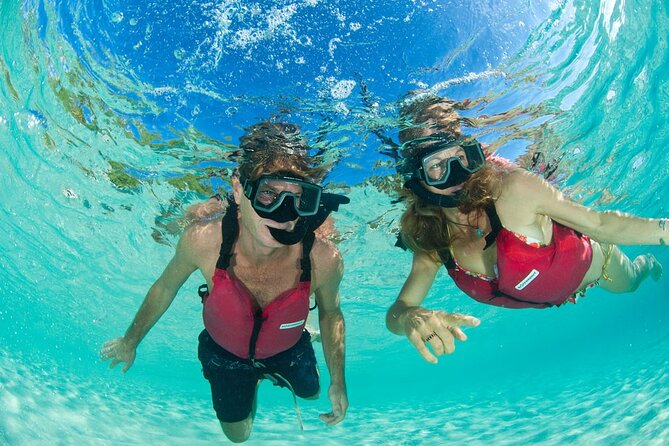 Kayak & Snorkel with Sea Turtles, National Park, St. John - Turtle Point Hike Through Tropical Forest: Shade, Plants, and View Stops