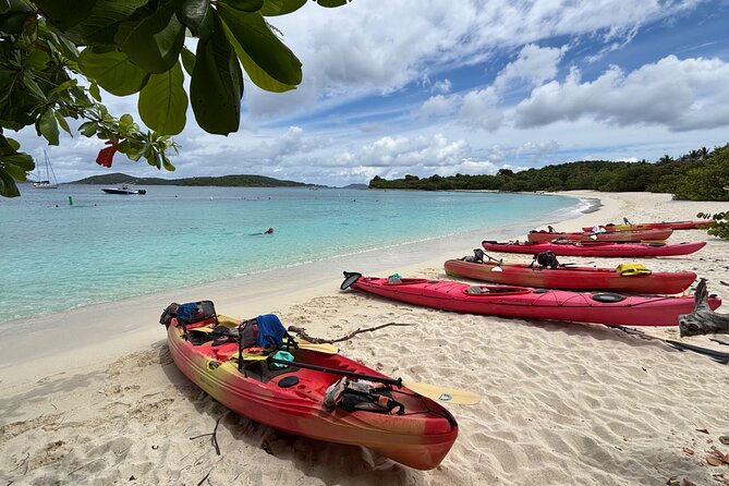 Kayak & Snorkel with Sea Turtles, National Park, St. John - Guides, Group Size, and the Service Style That Makes It Work