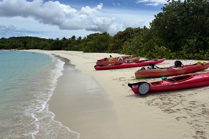 Kayak & Snorkel with Sea Turtles, National Park, St. John - Value at $119: Why This Costs What It Costs