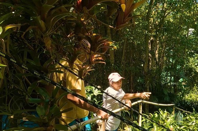 Luxury Private Tour in ST.Thomas(6per group) - Skyline Drive: locals, music, and the fastest big-view payoff
