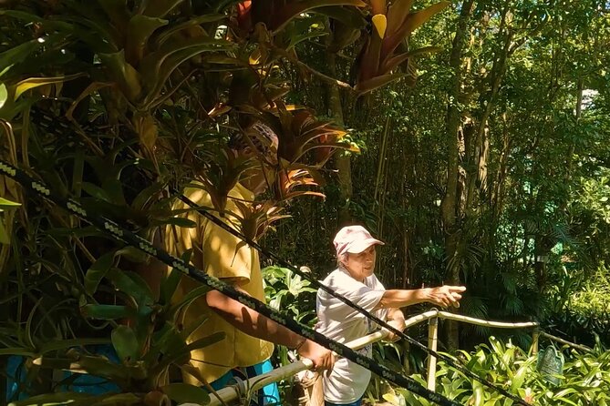 Luxury Private Tour in ST.Thomas(6per group) - Charlotte Amalie: Danish-era streets and duty-free shopping