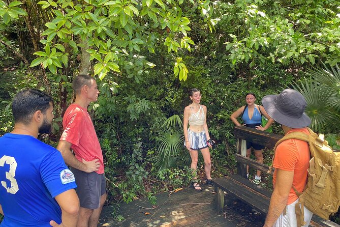Magens Bay Trail Hiking Tour - Key things to know before you hike Magens Bay