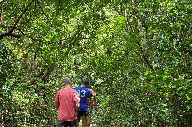 Magens Bay Trail Hiking Tour - What you actually get for $60 in a 2-hour guided hike