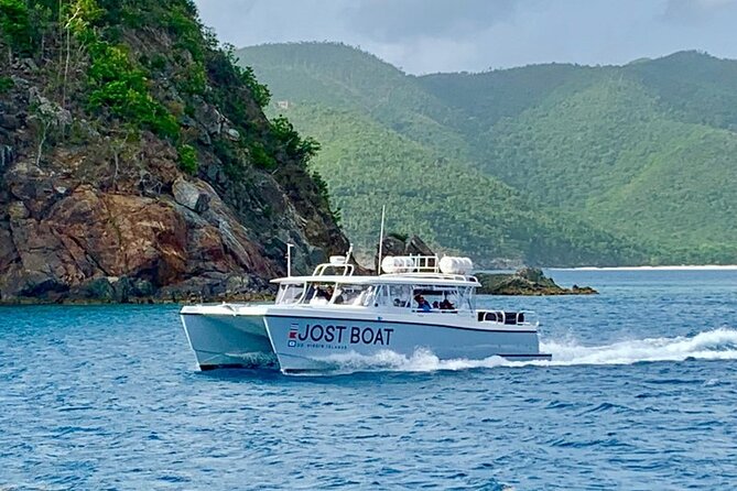 Maho Bay Turtle Snorkel with Lunch and Bar at Frenchman's Reef - Who This Tour Suits Best (and Who Should Rethink It)