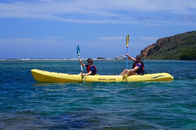 Mangrove Lagoon Kayak Rental in St Thomas - Your kayak, your pace: single versus double sit-on-top setup