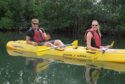 Mangrove Lagoon Kayak Rental in St Thomas