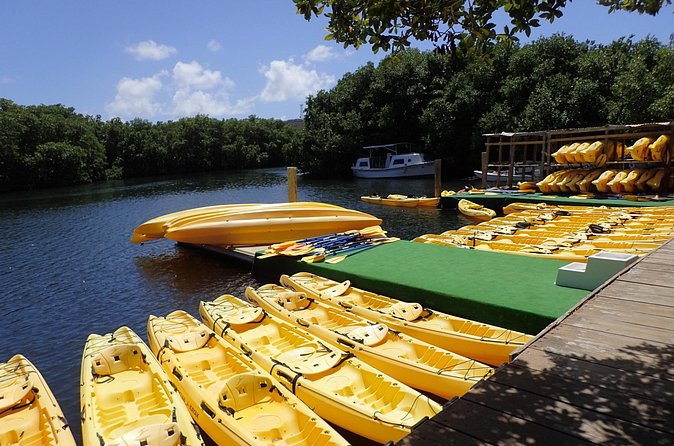 Mangrove Lagoon Kayak Rental in St Thomas - Guide stories that turn a kayak rental into a lesson you actually remember