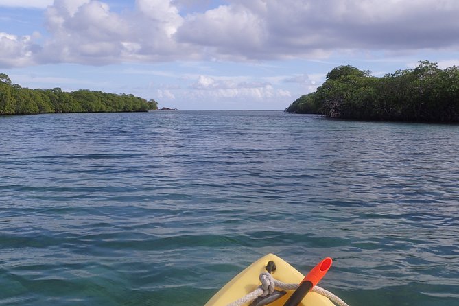Mangrove Lagoon Kayak Rental in St Thomas - Who this fits best, and who should think twice