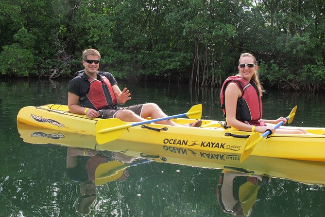 Mangrove Lagoon Kayak Rental in St Thomas - What actually happens from check-in to getting back by 4:30 PM