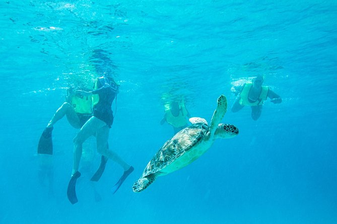 National Park Snorkeling Excursion - Quick take on Reef Surfari’s National Park snorkeling