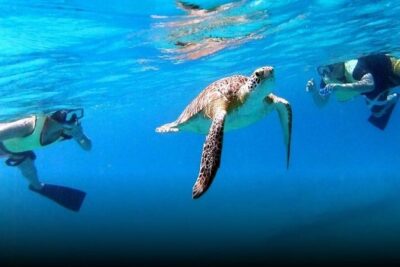 National Park Snorkeling Excursion