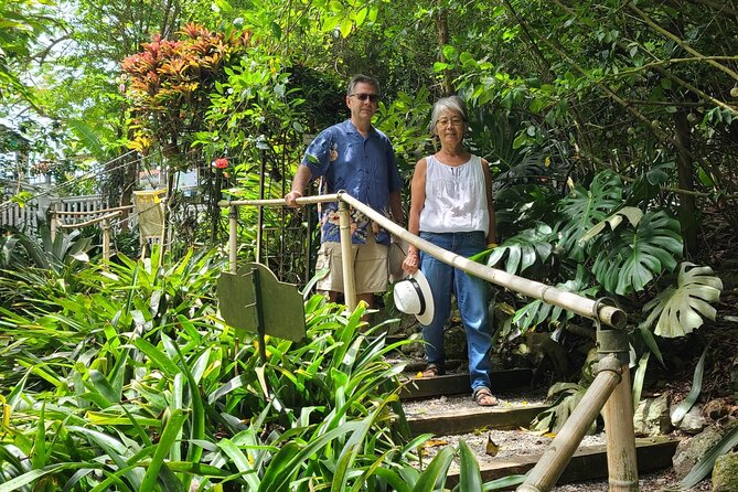 Nature and Sightseeing at Phantasea Tropical Botanical Garden - Why Phantasea’s orchids feel like a local plant show