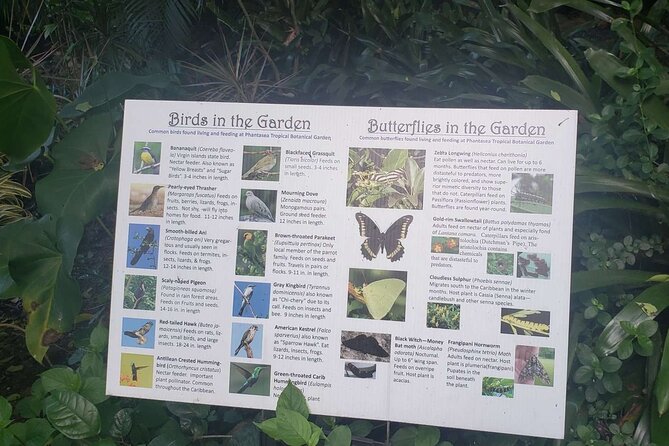 Nature and Sightseeing at Phantasea Tropical Botanical Garden - Getting there: pickup perks and small-group pacing