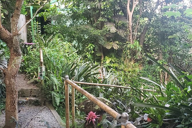 Nature and Sightseeing at Phantasea Tropical Botanical Garden - The walking pace: good for most people, not for everyone