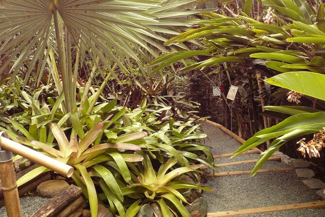 Nature and Sightseeing at Phantasea Tropical Botanical Garden - Price and value: $15.80 per person, and what to double-check