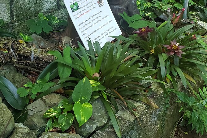 Nature and Sightseeing at Phantasea Tropical Botanical Garden - Inside Phantasea: what you will see as you walk