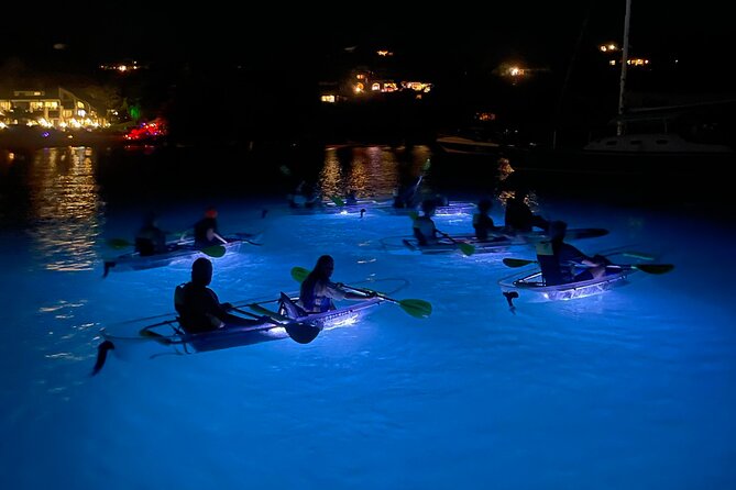Night Kayak Tour St. John - Westin Resort - Key Highlights You Will Care About