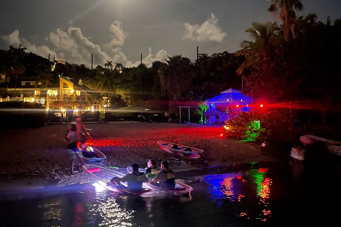 Night Kayak Tour St. John - Westin Resort - Price and Value: Is $69 Per Person Worth It?
