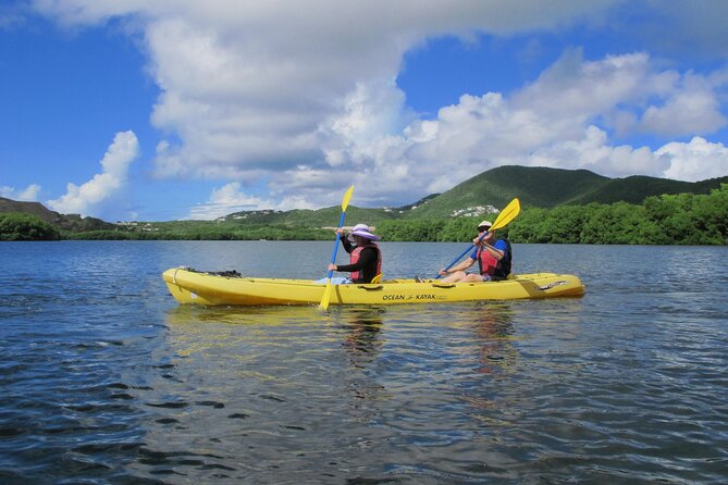 On Your Own: Kayak in the Mangrove Lagoon - Beaching Your Kayak to Explore on Your Own