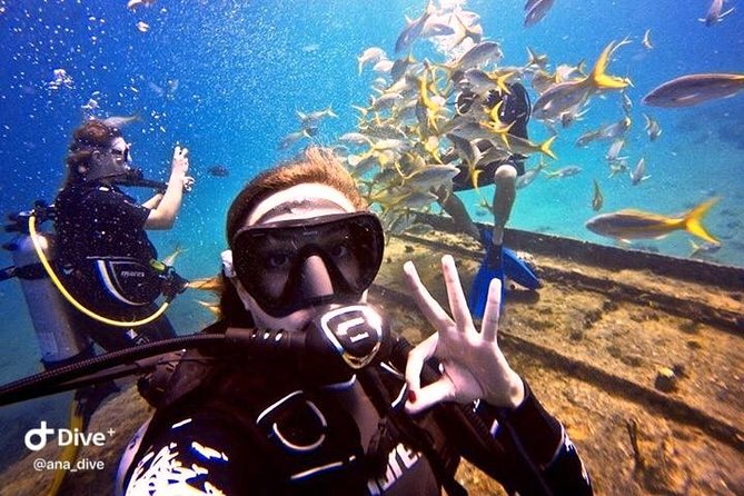 PADI / SSI Open Water Certification - St Thomas Open Water Certification, the Setup That Makes It Feel Manageable
