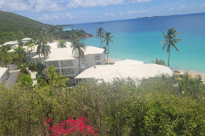 PARADISE TAXI & TOURS USVI-Transport Frenchmans Reef / Buoy Haus - Common Smooth-Sailing Wins, On-Time, Luggage Help, Local Tips