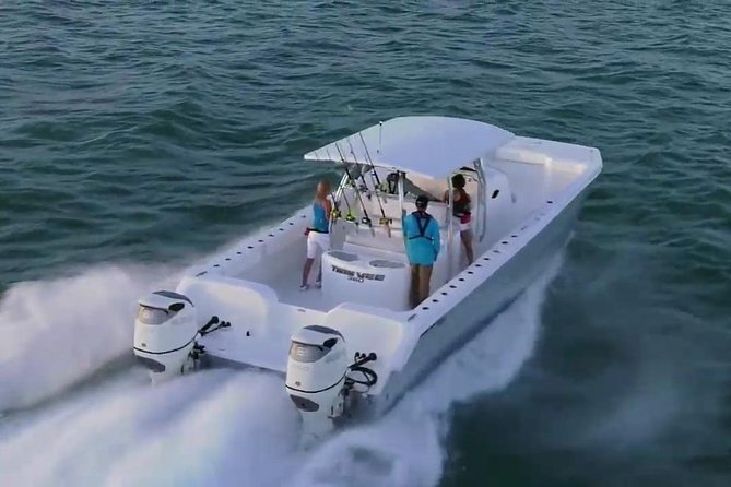 Private Fast Power Catamaran. Full or Half Day for Beach Hopping, Snorkel & Swim - Snorkeling on this charter: turtles, coral, and realistic expectations