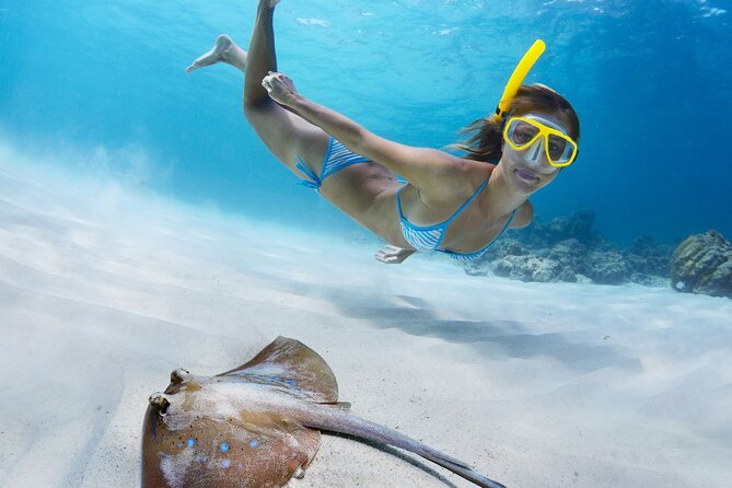 Private Full Day BVI Boat Charter Aboard MV Aquarius - The BVI fees you must budget for (paid direct by you)