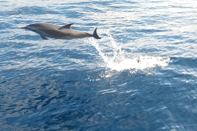 Private Full Day Sail/ Snorkel Experience USVI (Sapphire Marina, STT pick up) - What you need to bring (and what the crew does not provide)