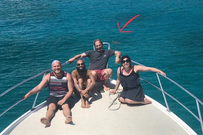 Private Half-Day Guided Snorkeling Charter in St. Thomas - Price and logistics: when the private charter makes sense