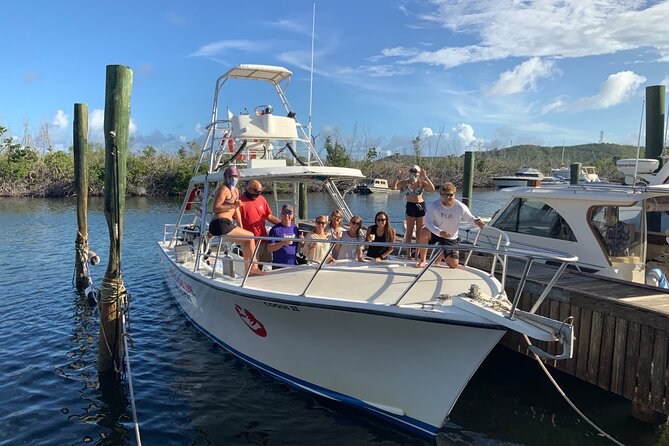 Private Half-Day Guided Snorkeling Charter in St. Thomas - Saga Haven Marina check-in: what happens before you hit the water