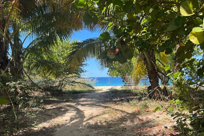 Private Open-Air Jeep Adventure with Tropic Sun -Hidden Beaches - Key things to know before you ride