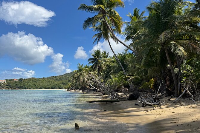 Private Open-Air Jeep Adventure with Tropic Sun -Hidden Beaches - Charlotte Amalie to Brewer’s Bay: starting with real island life