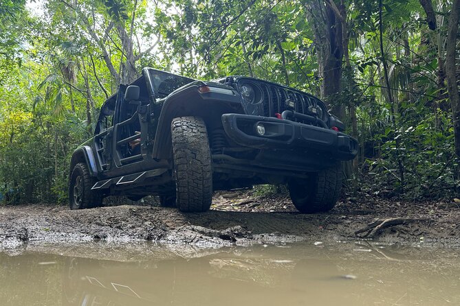 Private Open-Air Jeep Adventure with Tropic Sun -Hidden Beaches - Skyline Drive photo time, then winding down to beach mode