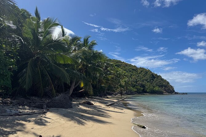 Private Open-Air Jeep Adventure with Tropic Sun -Hidden Beaches - Beach time that can include snorkeling gear, SUP, and extra toys