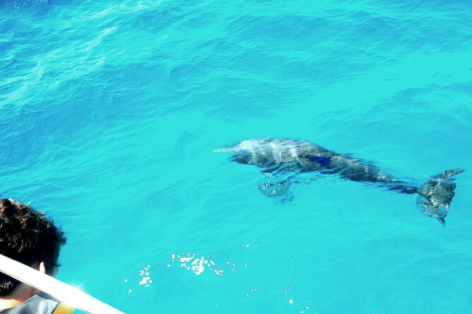 Private Sailing Tour of Pirate Waters and Shipwrecks - Key Highlights at a Glance