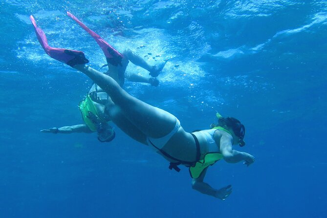 Reef and Turtle Adventure - Kayak and Snorkel Tour - Starting At Emerald Beach Resort, Then Getting Moving Fast