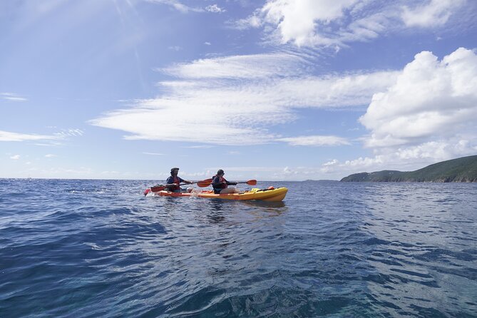 Reef and Turtle Adventure - Kayak and Snorkel Tour - Sea Turtle Snorkel Spot: Calmer Bay Feel, Then a Bit More Challenge