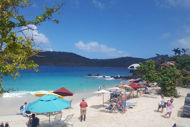 Round-Trip Transportation to Coral World Park and Coki Beach - Price and Value: Why $59.75 Can Be a Smart Bet (If You Use the Transfer)
