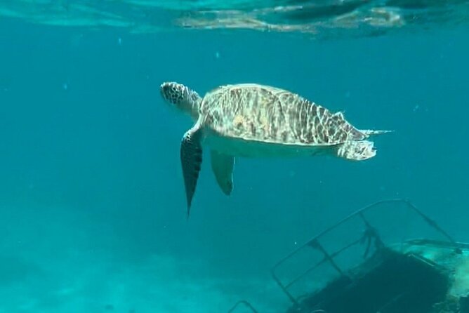 Sail and Snorkel Private Charter - Half Day Morning - From Sapphire Beach Marina to St John’s National Park Waters