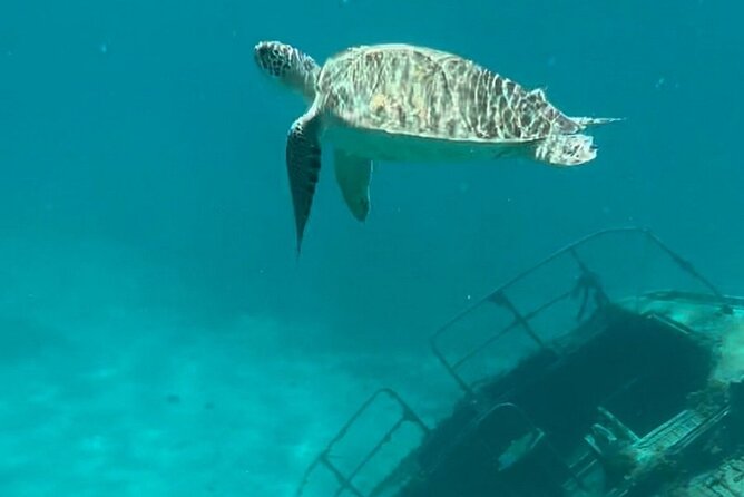Sail and Snorkel Private Charter - Mid-Day Sail 1230pm to Sunset - The sailing day flow, from 12:30 pm to sunset