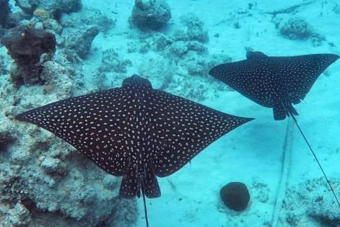 Sail/Snorkel Adventure from Sapphire Marina,STT NO CROWDS~ 6 GUEST MAX - Key takeaways before you book