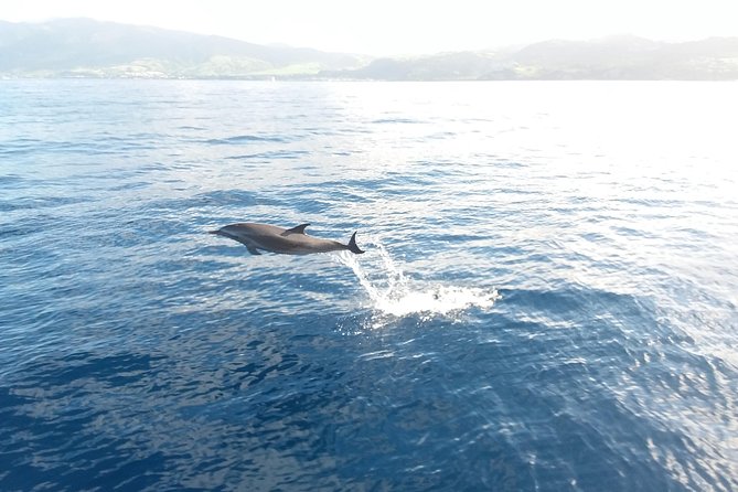 Sail/Snorkel Adventure from Sapphire Marina,STT NO CROWDS~ 6 GUEST MAX - The 3 hour pacing: sailing is not just “getting there”