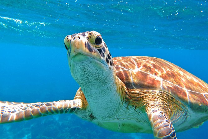 Sail/Snorkel Adventure from Sapphire Marina,STT NO CROWDS~ 6 GUEST MAX - Price and value: is $159 worth it?