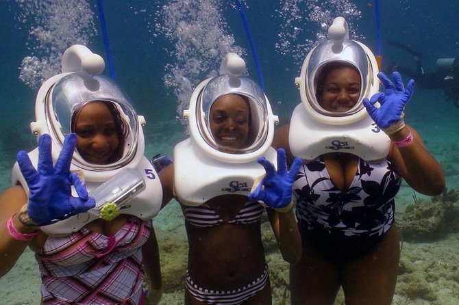 Sea Trek Helmet Dive at Coral World Ocean Park - Your Day at Coral World: From Coki Point Road to the Sea Trek Area
