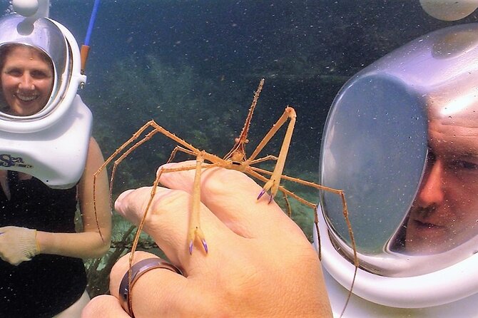Sea Trek Helmet Dive at Coral World Ocean Park - After Your Helmet Session: Using Your Included Coral World Admission