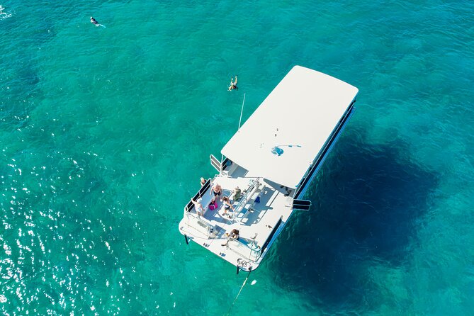 SeaFari FastCat - Sun, Fun, Swimming, Snorkeling & Boat Party - Value for $89: Why This Half Day Feels Like More Than Just a Boat Trip