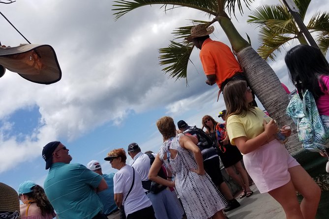Shopping And Sightseeing Excursion - Charlotte Amalie plus the high viewpoints, in 3 to 4 hours